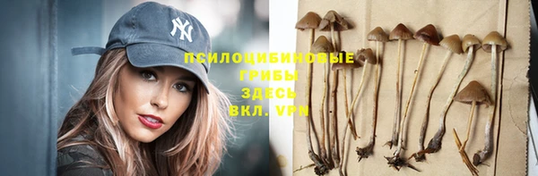 МДПВ Нягань