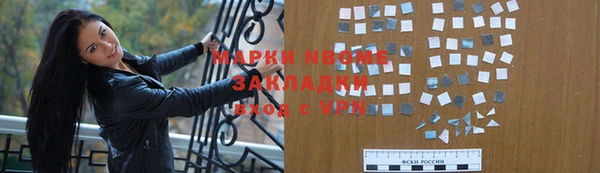 гашик Няндома