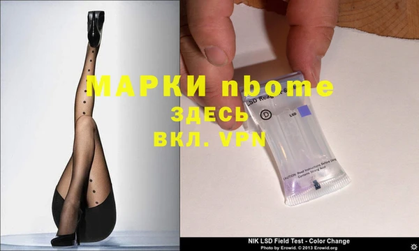 гашик Няндома