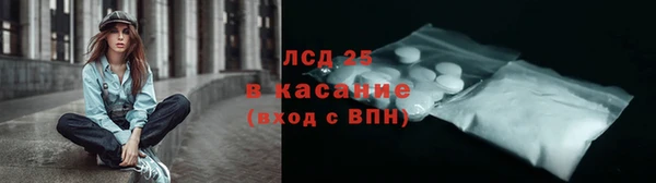 гашик Няндома