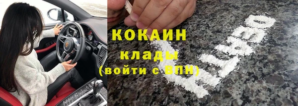 гашик Няндома