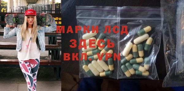 гашик Няндома