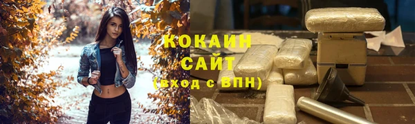 гашик Няндома