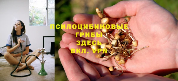 гашик Няндома