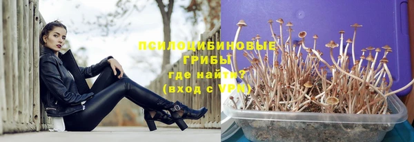 гашик Няндома