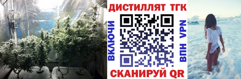 ТГК гашишное масло  цена   мега ссылка  Энем 
